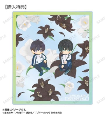 『ブルーロック』潔 世一&糸師 凛 Botania アクリルカード AMNIBUS限定特典