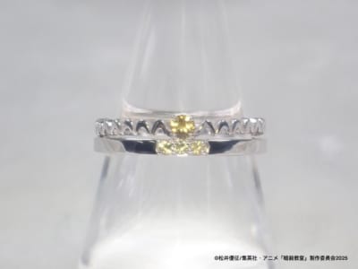 イリーナ・イェラビッチモデル コラボリング