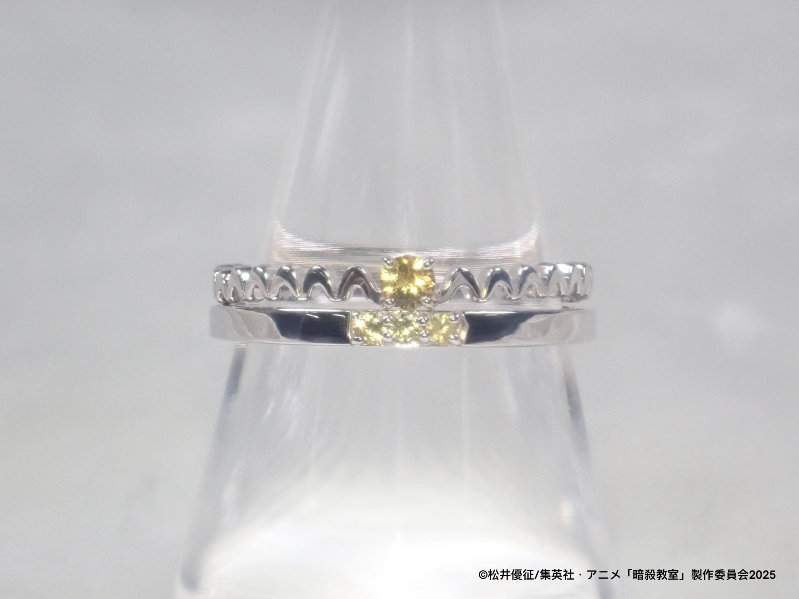 イリーナ・イェラビッチモデル コラボリング