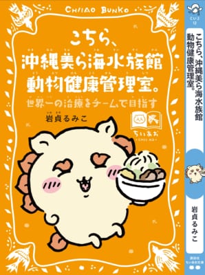 こちら沖縄美ら海水族館 シーサースペシャルカバー帯