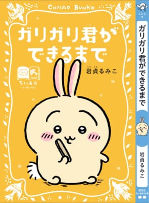 ガリガリ君ができるまで うさぎスペシャルカバー帯