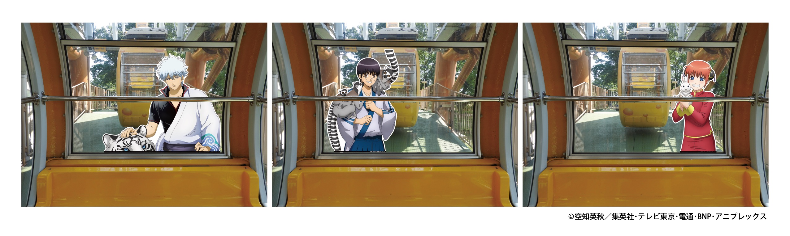 銀魂×東武動物公園 観覧車ラッピング