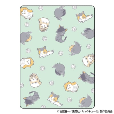 Coleman ピクニックマット デザイン