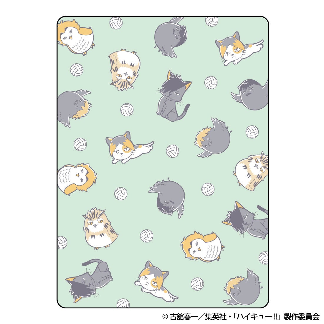 Coleman ピクニックマット デザイン