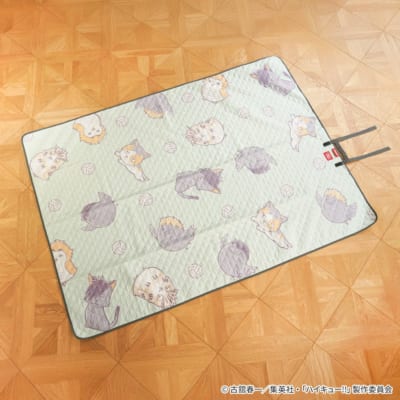 Coleman ピクニックマット 使用イメージ