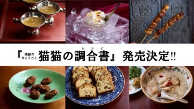 薬屋のひとりごと 猫猫の調合書（レシピ）発売決定