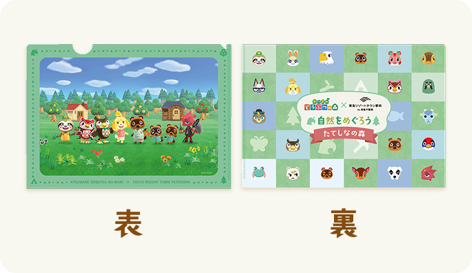 あつまれ どうぶつの森×東急リゾートタウン蓼科 クリアファイル