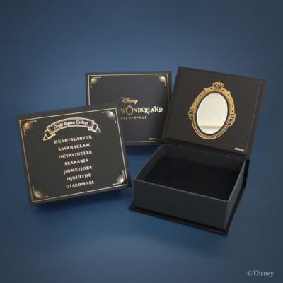 ディズニー ツイステッドワンダーランド TUfave 専用BOX