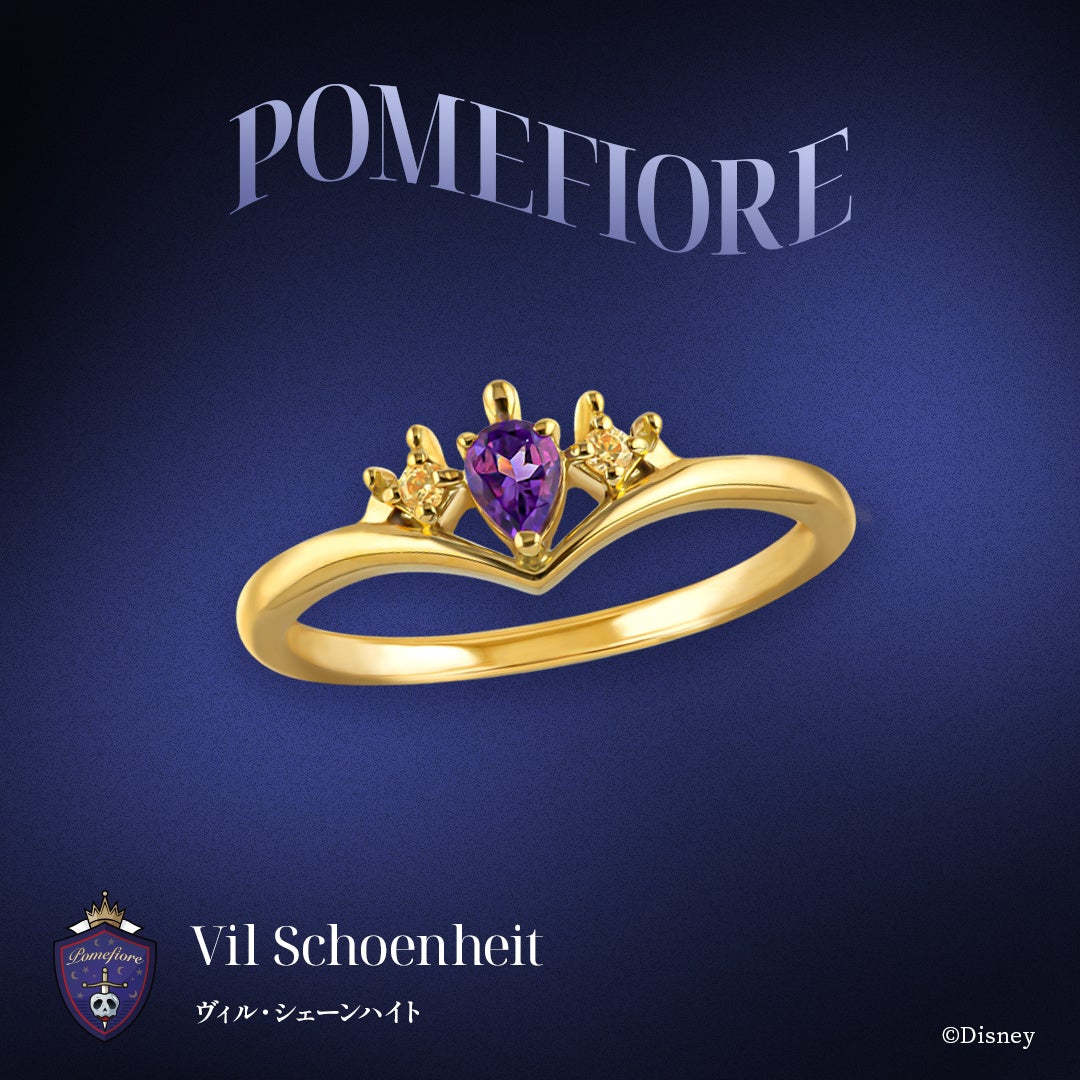 ヴィル・シェーンハイト シルバーリング