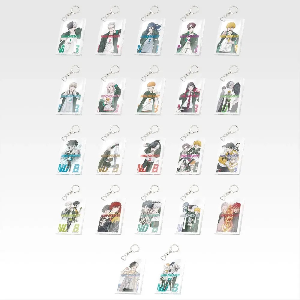 一番くじ WIND BREAKER -原作5周年- F賞 単行本アクリルキーホルダー