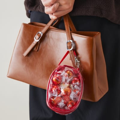 リンツ カラーポーチ レッド バッグにつけた使用例