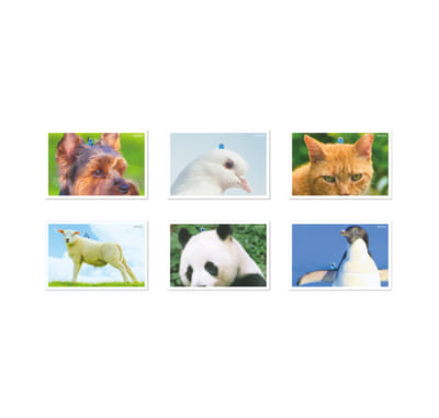 H賞 パペットスンスン ステッカーセット