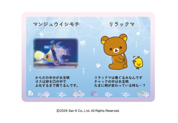 リラックマ オリジナル解説パネル