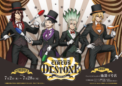 WELCOME TO THE CIRCUS Dr.STONE ANIMATE CAFE キービジュアル