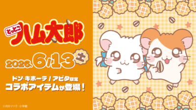 とっとこハム太郎 ドンキ・アピタ限定コラボ メインビジュアル