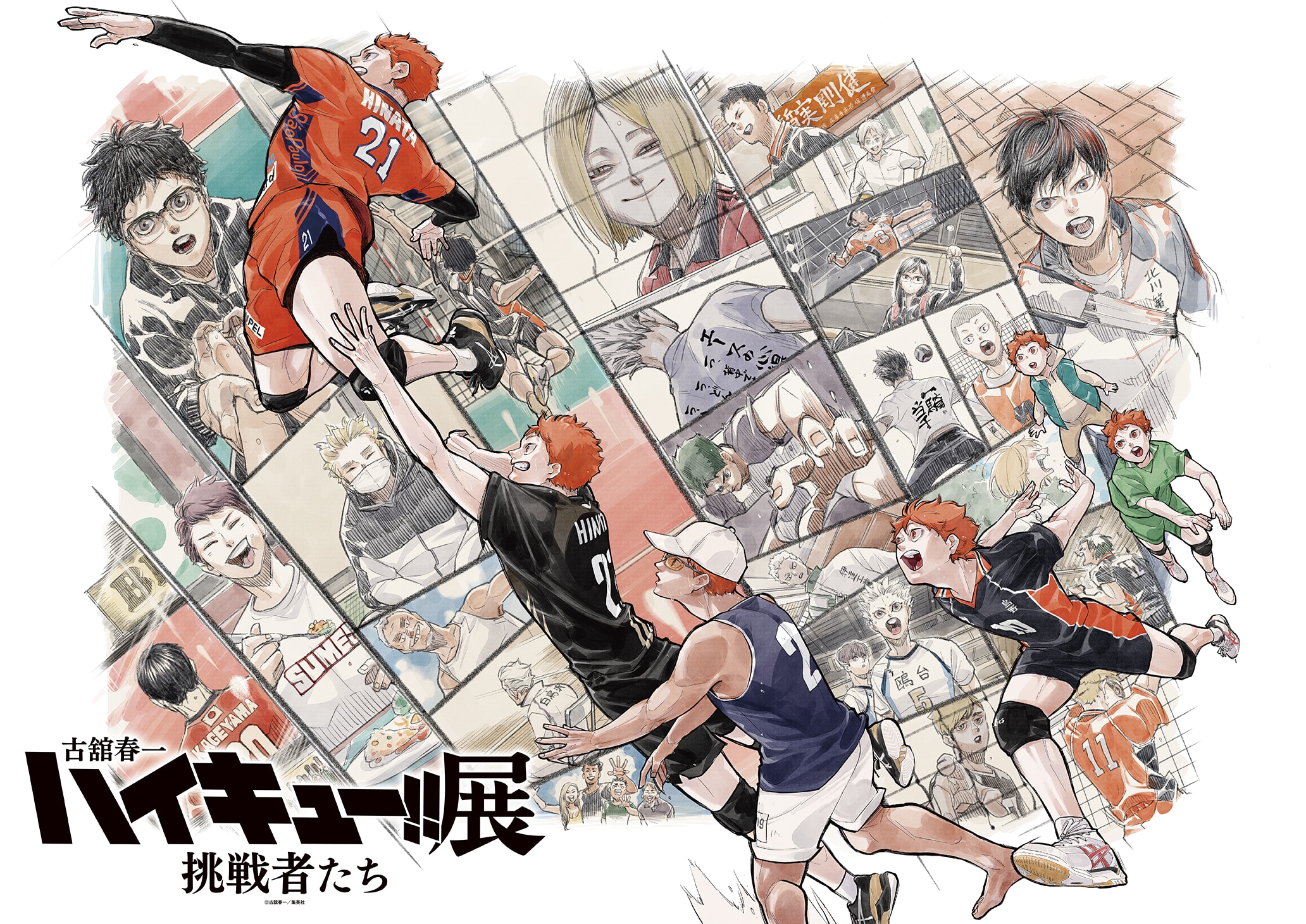 「ハイキュー!!展 挑戦者たち」が10月30日開幕！日向翔陽の描きおろしキービジュアル第2弾・プレイヤーズカード特典・グッズが解禁