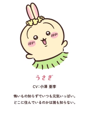 第3位:うさぎ