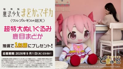 どきゅーと 超特大ぬいぐるみ 鹿目まどか 予約開始記念キャンペーン