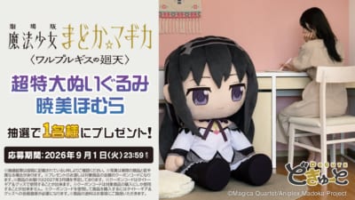 どきゅーと 超特大ぬいぐるみ 暁美ほむら 予約開始記念キャンペーン