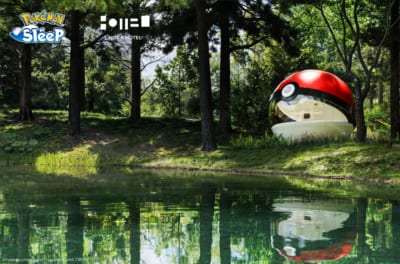泊まれるモンスターボール 画像1