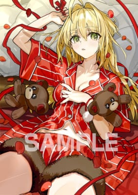 Fate/EXTRA Record