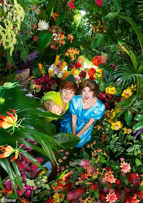 東京ディズニーリゾート・イマジニング・ザ・マジック カラー・オブ・ファンタジー 画像3