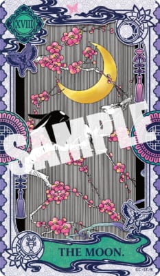 『xxxHOLiC・戻』第6巻 画像6