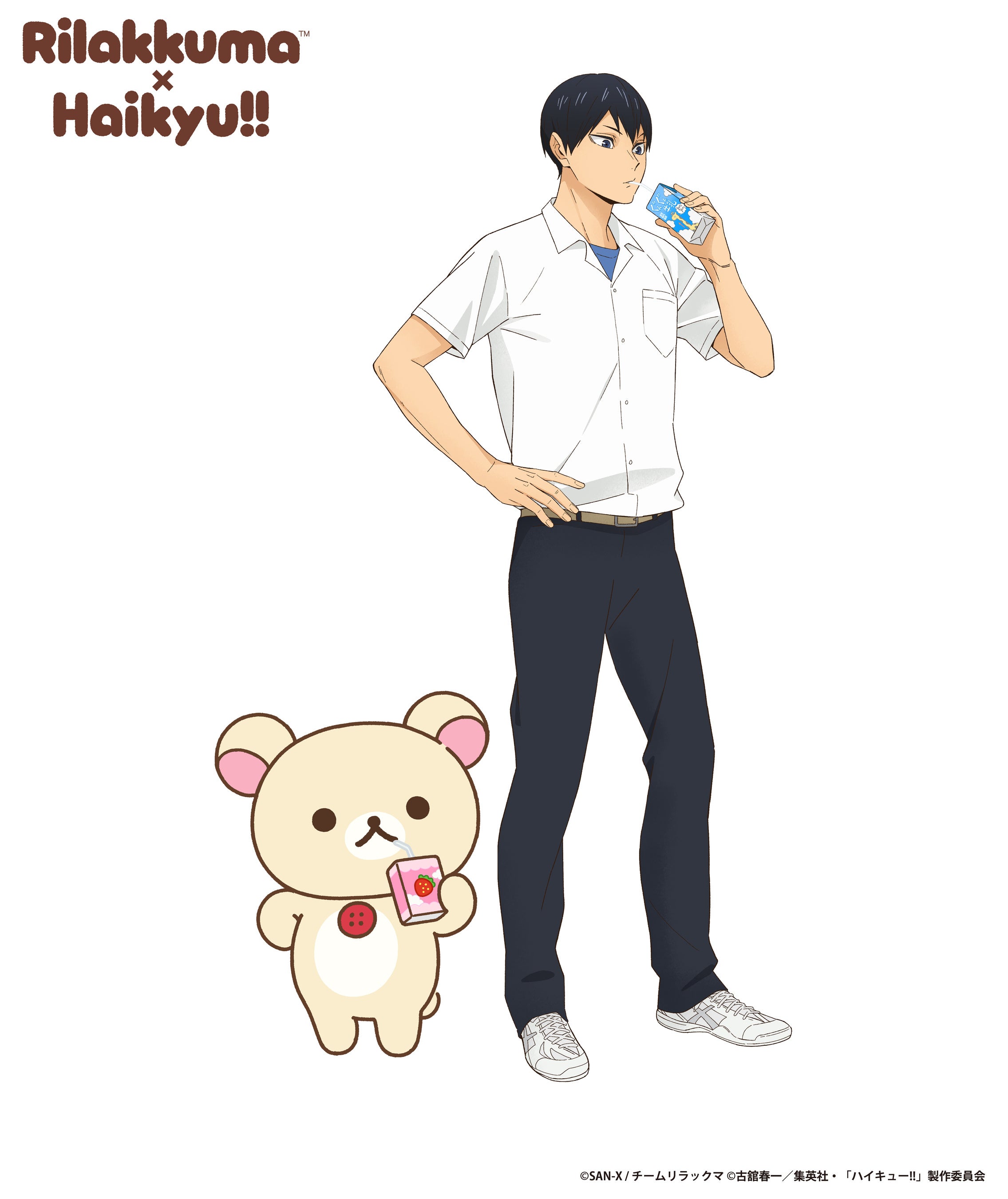コリラックマ ・ 影山飛雄