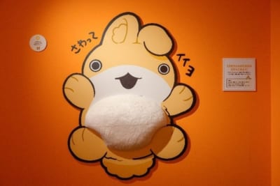 おでかけ子ザメ展 東京会場の展示の様子3