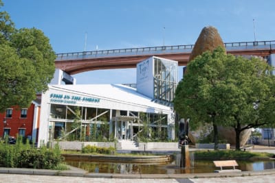 『トーベとムーミン展』タイアップ店舗 TOOTH TOOTH FISH IN THE FORESTの店舗写真