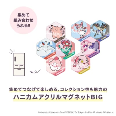 ポケットモンスター 画像7