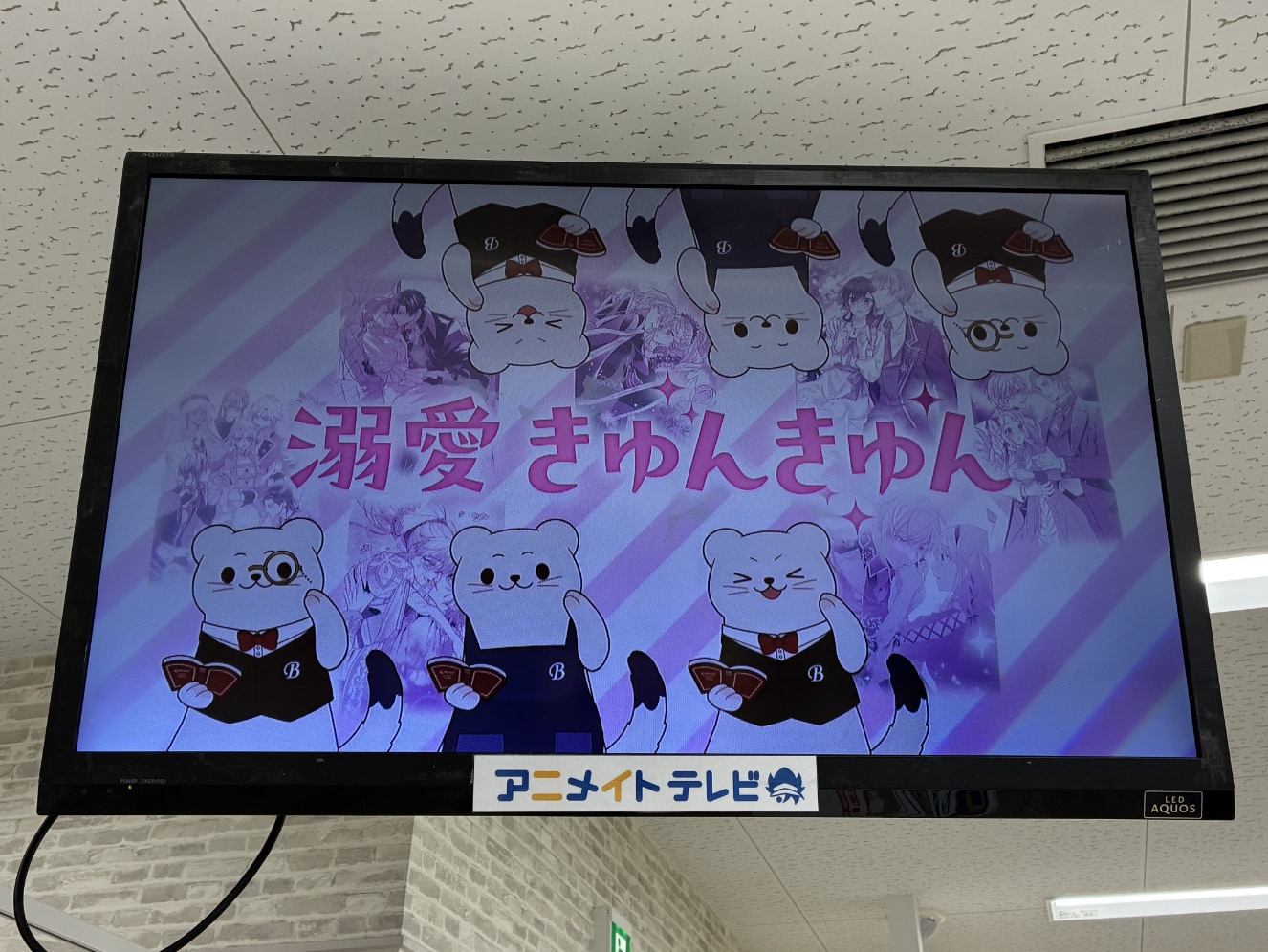ログ男が登場するレーベルCMの店内放送画面