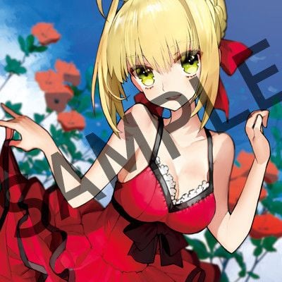 アーチャーとギルガメッシュの掛け合いがヤバすぎることで大好評だった『Fate』ARタペストリーがついに再販決定＆受注開始！ -  女性向けアニメ情報サイトにじめん