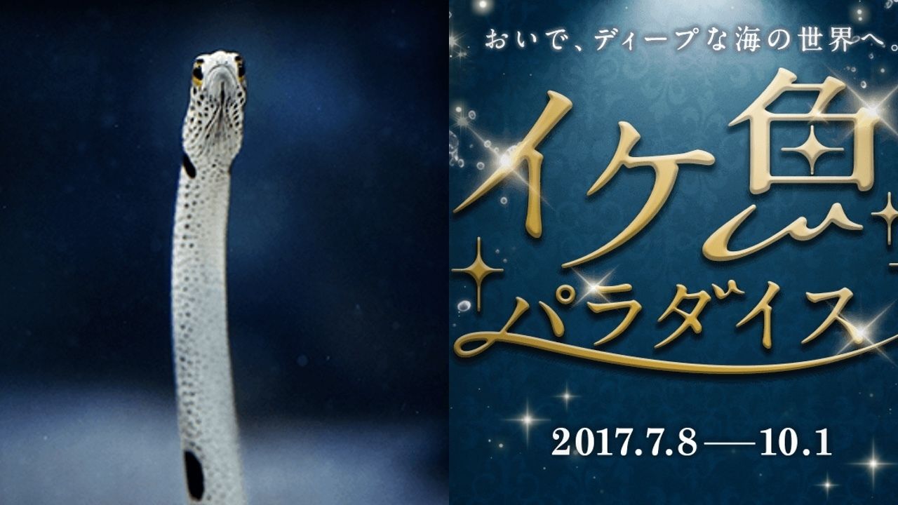 チンアナゴの声が櫻井孝宏さん！？イケてる魚たちの声を豪華声優陣で送る「イケ魚パラダイス」が本日8日より開催！